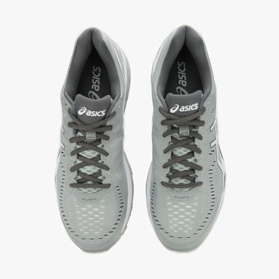 Asics Gel-Kayano 23