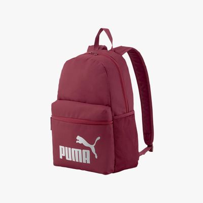 MOH PUM 075487 48 PUMA PHASE BAC