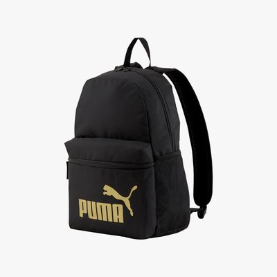 MOH PUM 075487 49 PUMA PHASE BAC