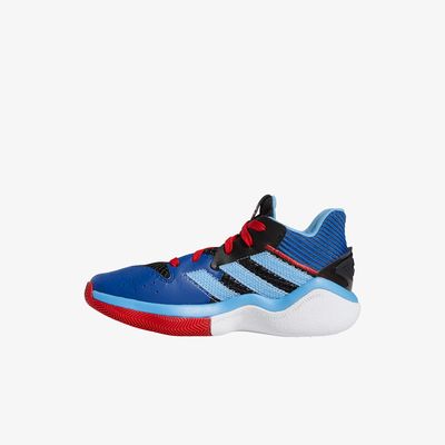 ZAP ADI FW8542 HARDEN STEPBAC