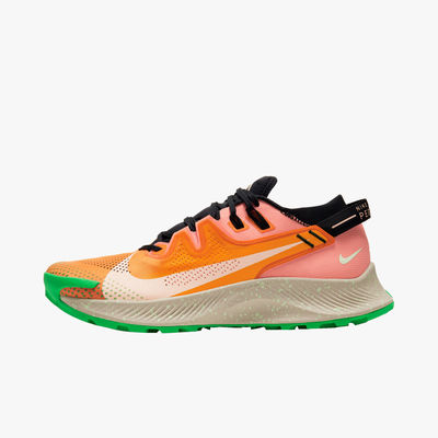 ZAP NIK CK4305-800 NIKE PEGASUS T