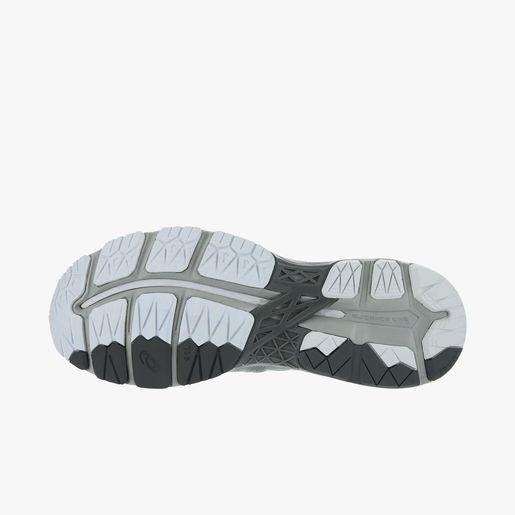 Asics Gel-Kayano 23